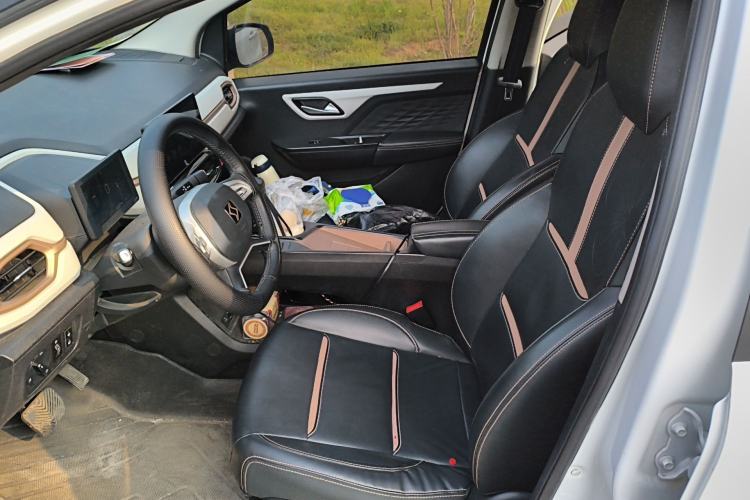 Used SOL E10X 2022 Flower Fairy Design Four-Leaf Clover