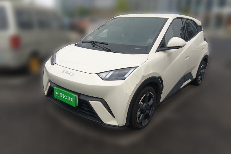 Used BYD Seagull 2024 Honor Edition 305km Freedom Version