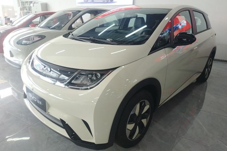 Used BYD Dolphin 2025 420km Free Edition