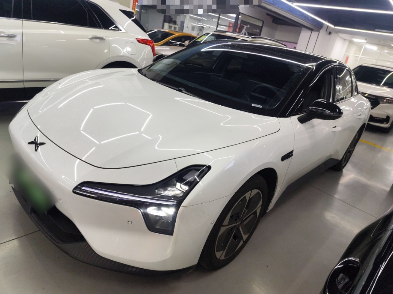 Parte inferior delantera