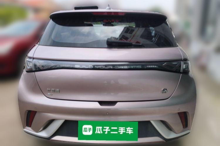 Used BYD Dolphin 2023 420 km Fashion Edition Rear