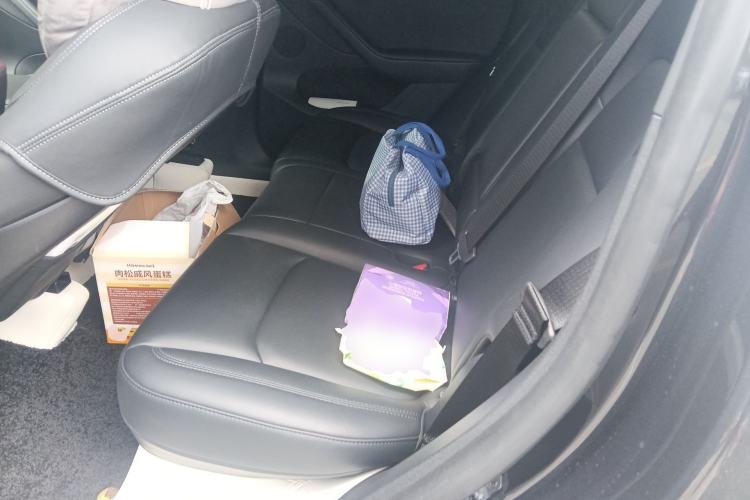 Used Tesla Model Y 2024 Long-Range All-Wheel-Drive Version