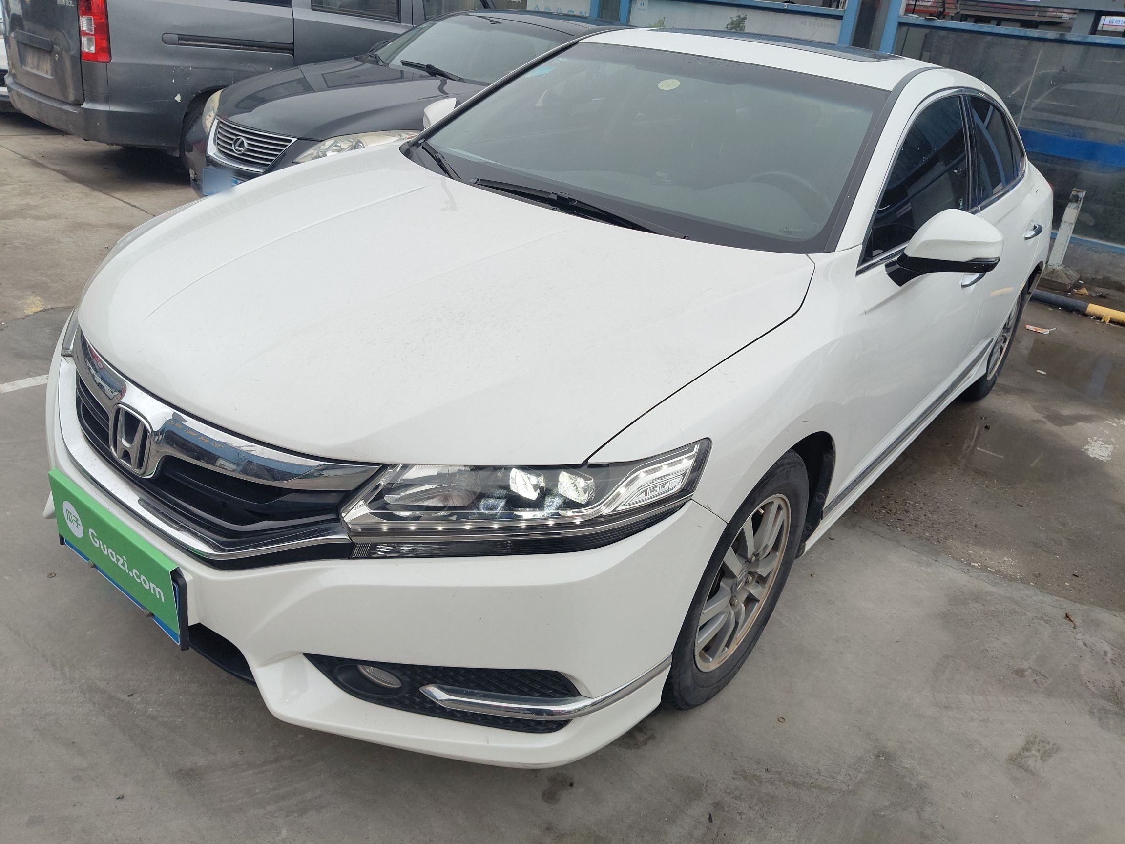 Parte inferior delantera