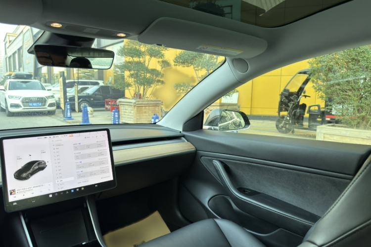 Used Tesla Model 3 (Import) 2019 Long-Range Rear-Wheel-Drive Version