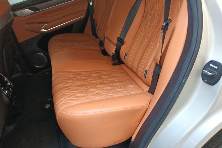 Used Tank 500 2023 3.0T Business Edition "Creation" Style 5 Seats