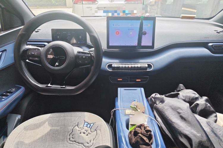 Used BYD Seagull 2023 Active Version Center Console