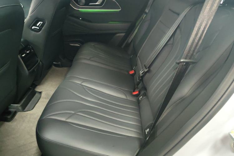 Used Fengyun T9 2024 120 Long-Range Comfort Version 5 Seats Lithium Iron Phosphate Left Rear Seat