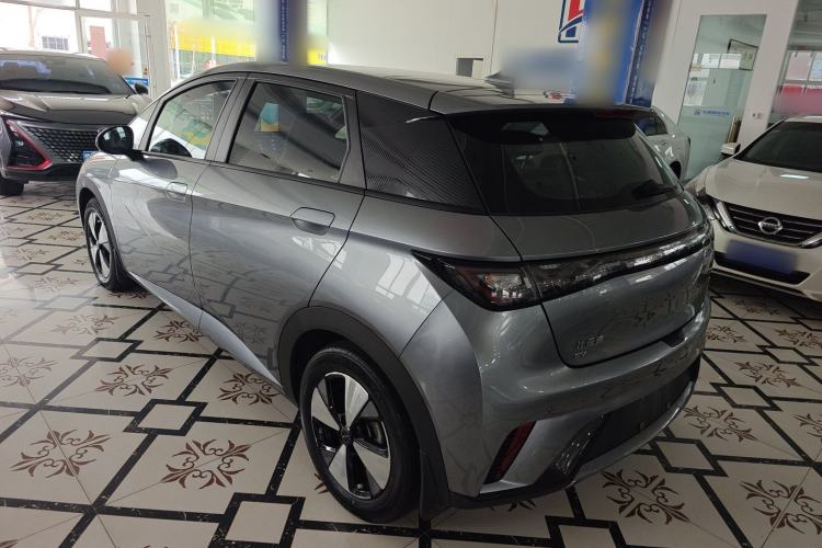 Used BYD Dolphin 2023 420 km Fashion Edition Rear Left 45 Deg