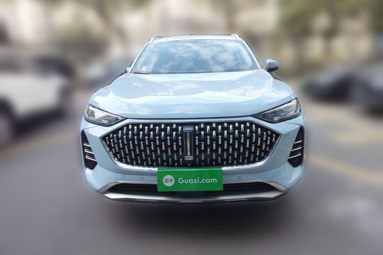 Used Wey Mocha 2021 2.0T Two-Wheel-Drive Premium Edition