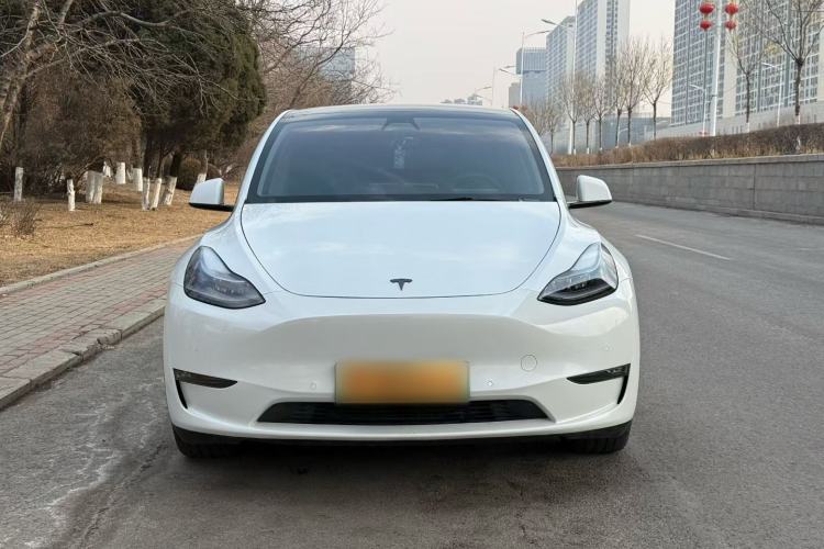 Used Tesla Model Y 2021 Standard Range Rear-Wheel Drive Version Exterior 3
