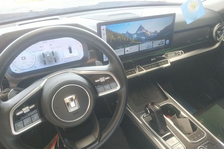 Used Tank 400 New Energy 2023 Hi4-T Super Edition
