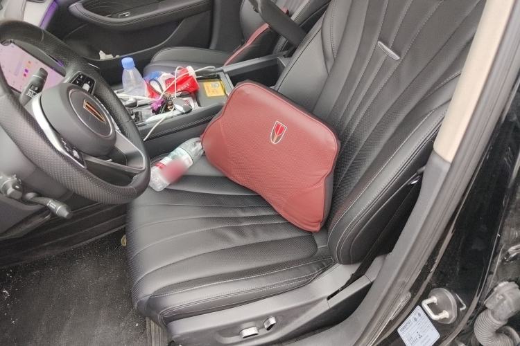 Used Hongqi H5 2023 1.5T DCT Smart Connect Flagship Edition Left Front Seat