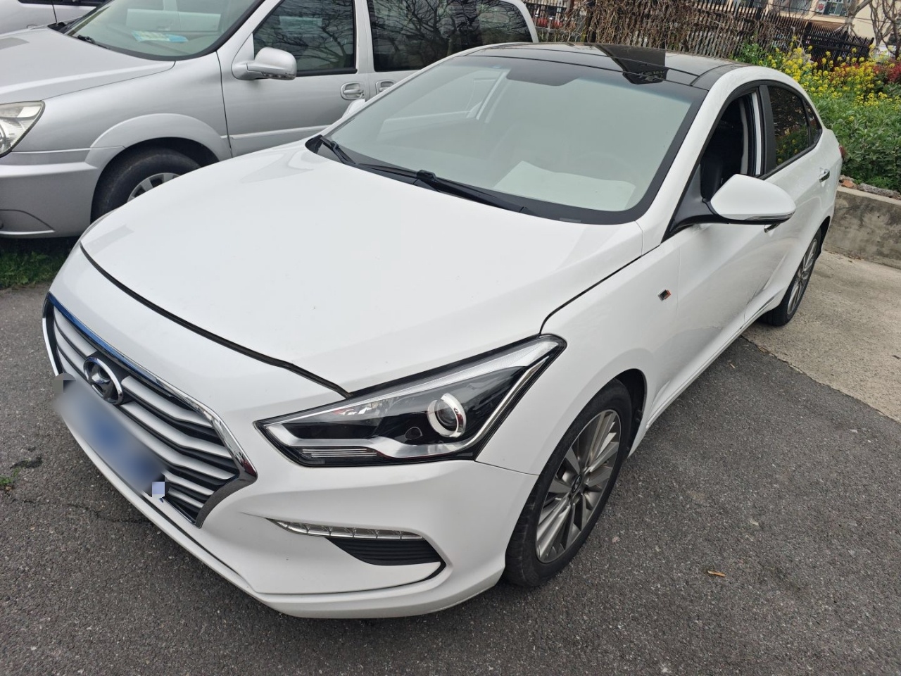 تحت مقدمة السيارة