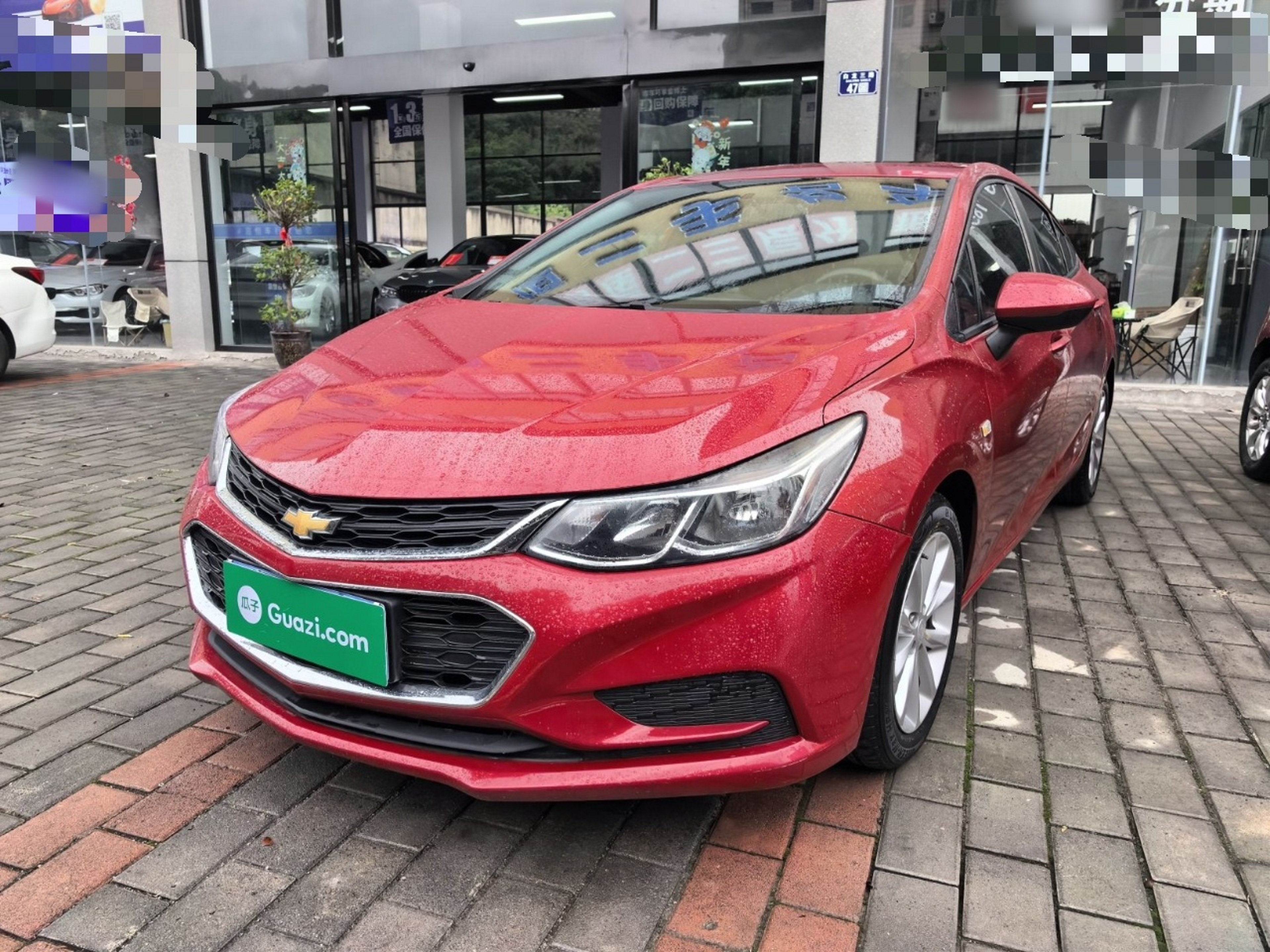 Parte inferior delantera