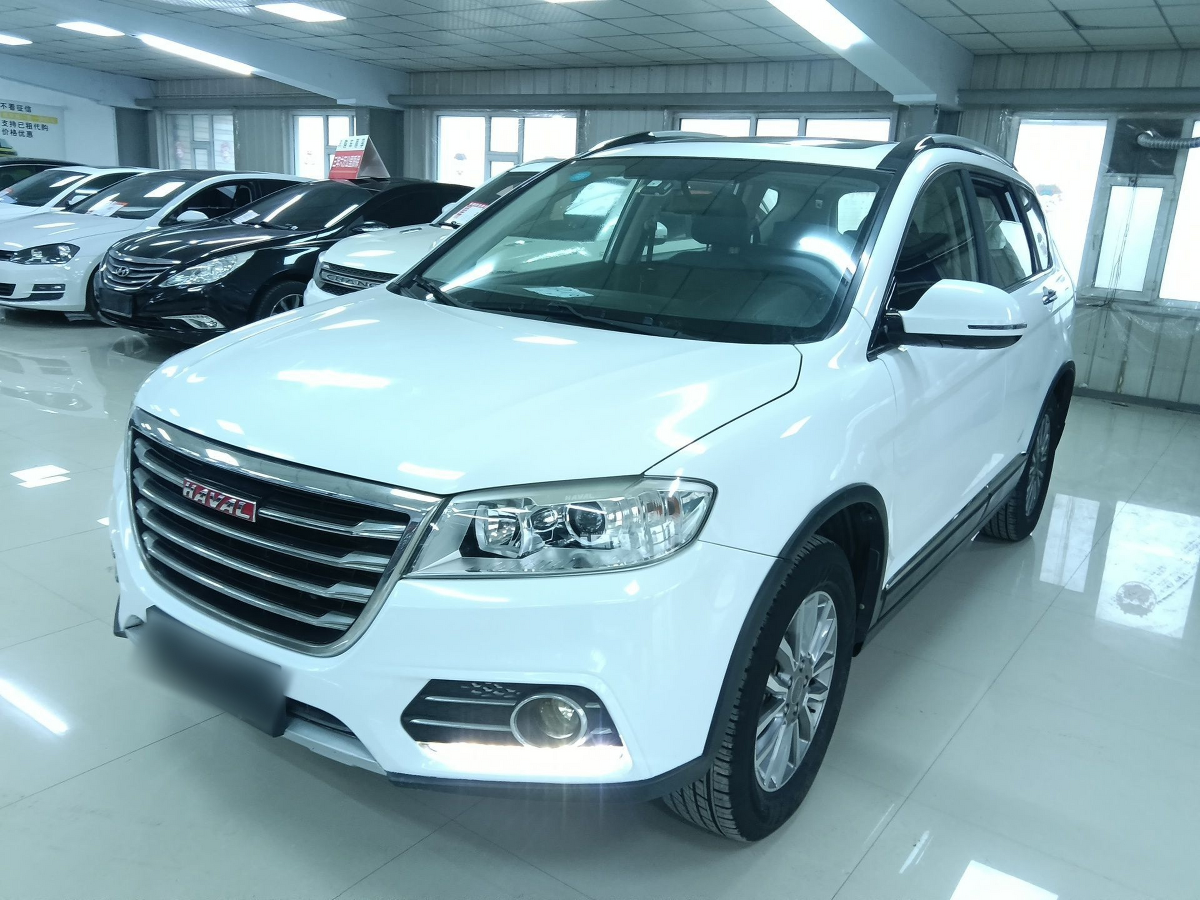 Parte inferior delantera