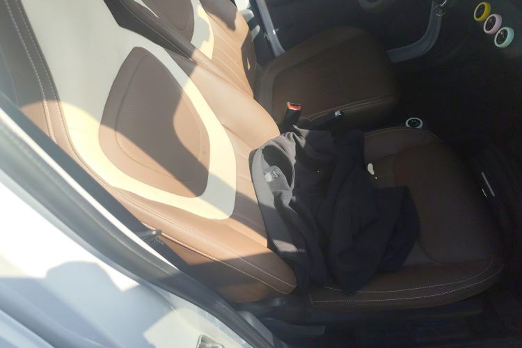 Used Wuling Zhiguang New Energy 2025 Comfort Model Right Front Seat