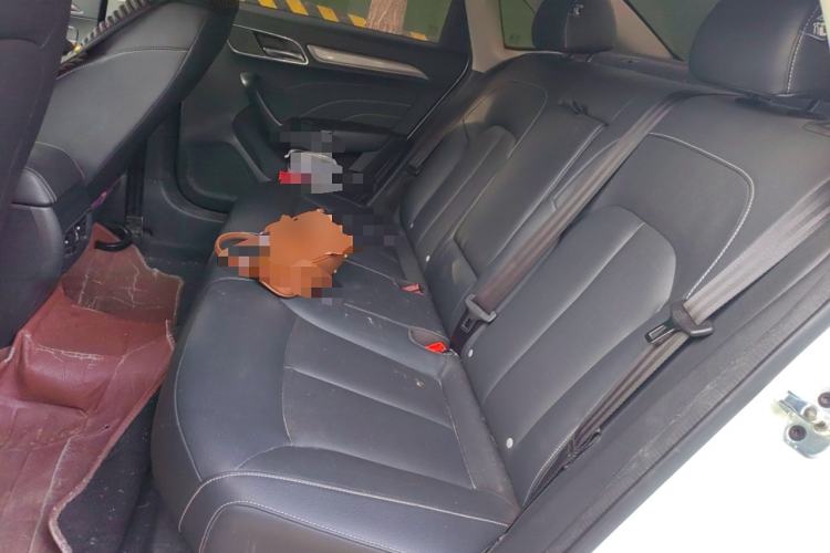 Used Roewe i6 2020 PLUS 1.6L CVT 4G Connected Glory Flagship Edition Left Rear Seat