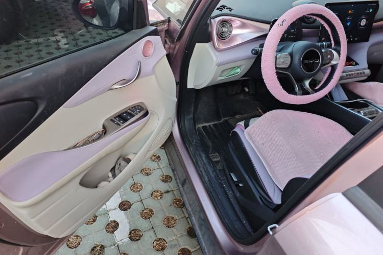 Used BYD Dolphin 2023 420 km Free Version Driver Seat