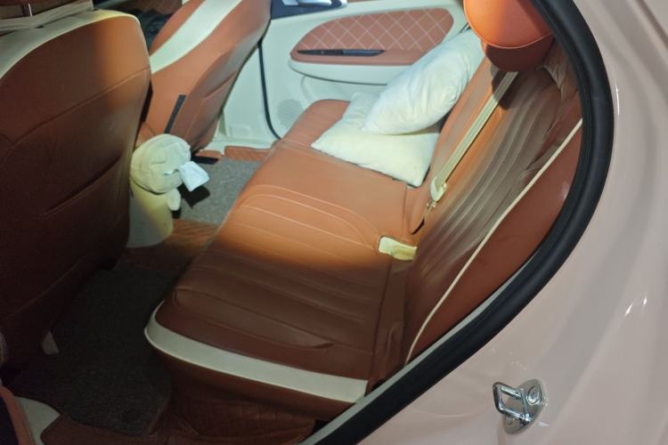 Used ORA Good Cat 2022 Morandi Edition 400km Standard Range Premium Version Lithium Iron Phosphate
