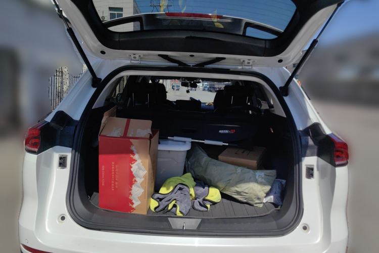 Used Haval H6 2023 National Trend Edition 1.5T Automatic Urban Version
