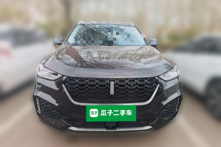 Used Wey VV6 2019 2.0T Two-Wheel-Drive Ultra-Luxury Version China VI Standard Front