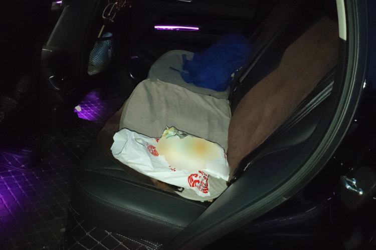 Used Hongqi HS3 2023 1.5T Two-Wheel Drive Shanwei Edition Left Rear Seat