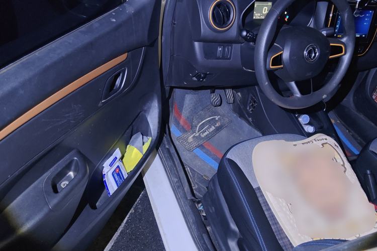 Used Dongfeng NAMMI EX1 2021 Quality Edition
