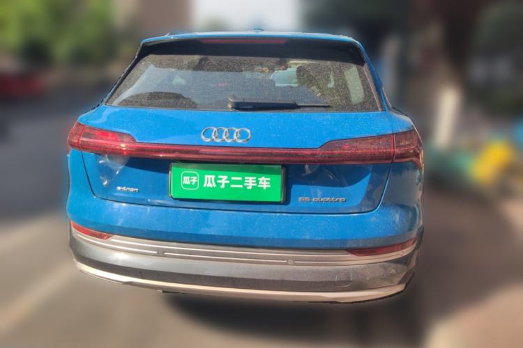 Used Audi e-tron 2019 55 quattro Global Limited Edition Edition 1 Rear