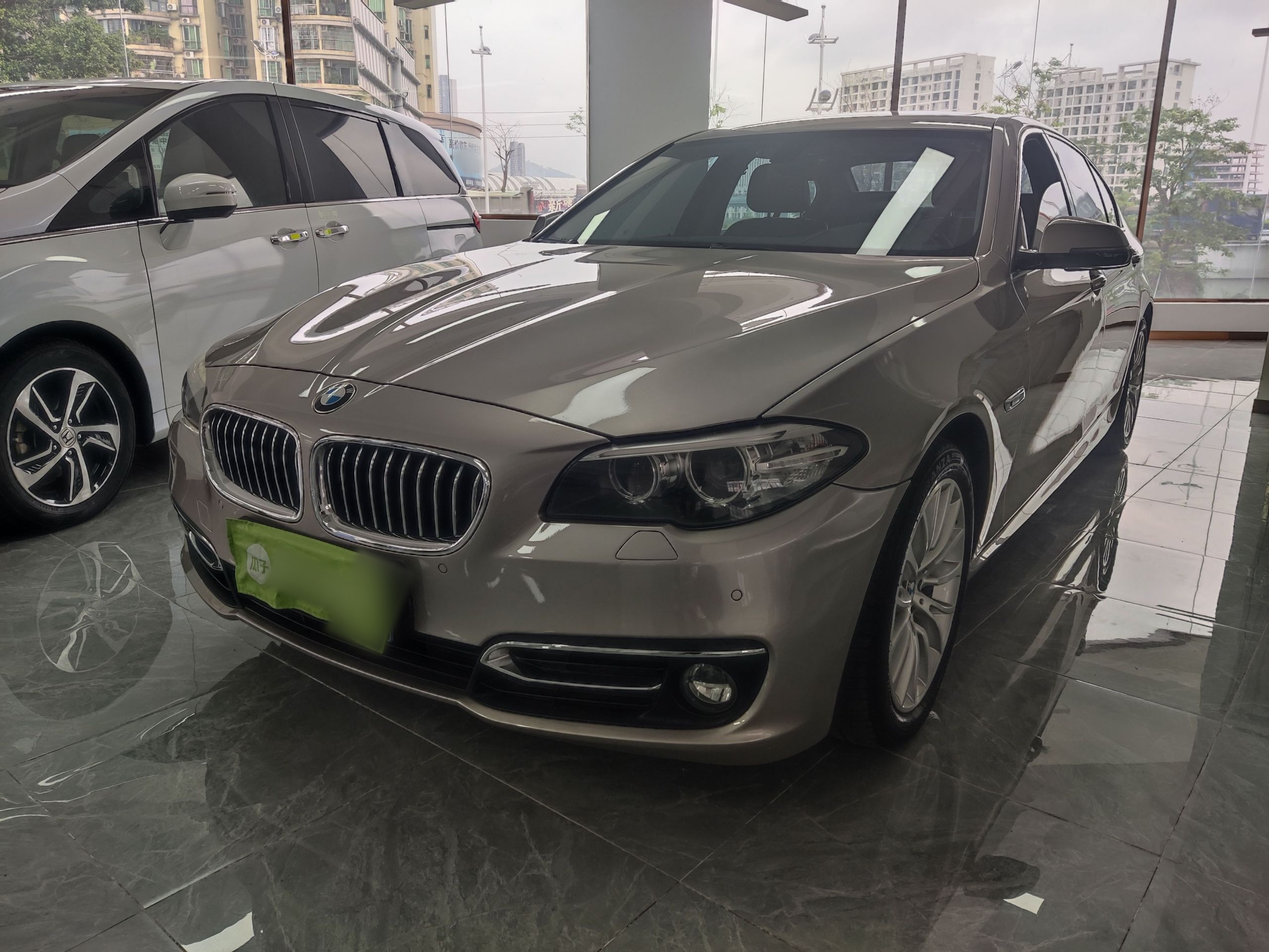 Parte inferior delantera