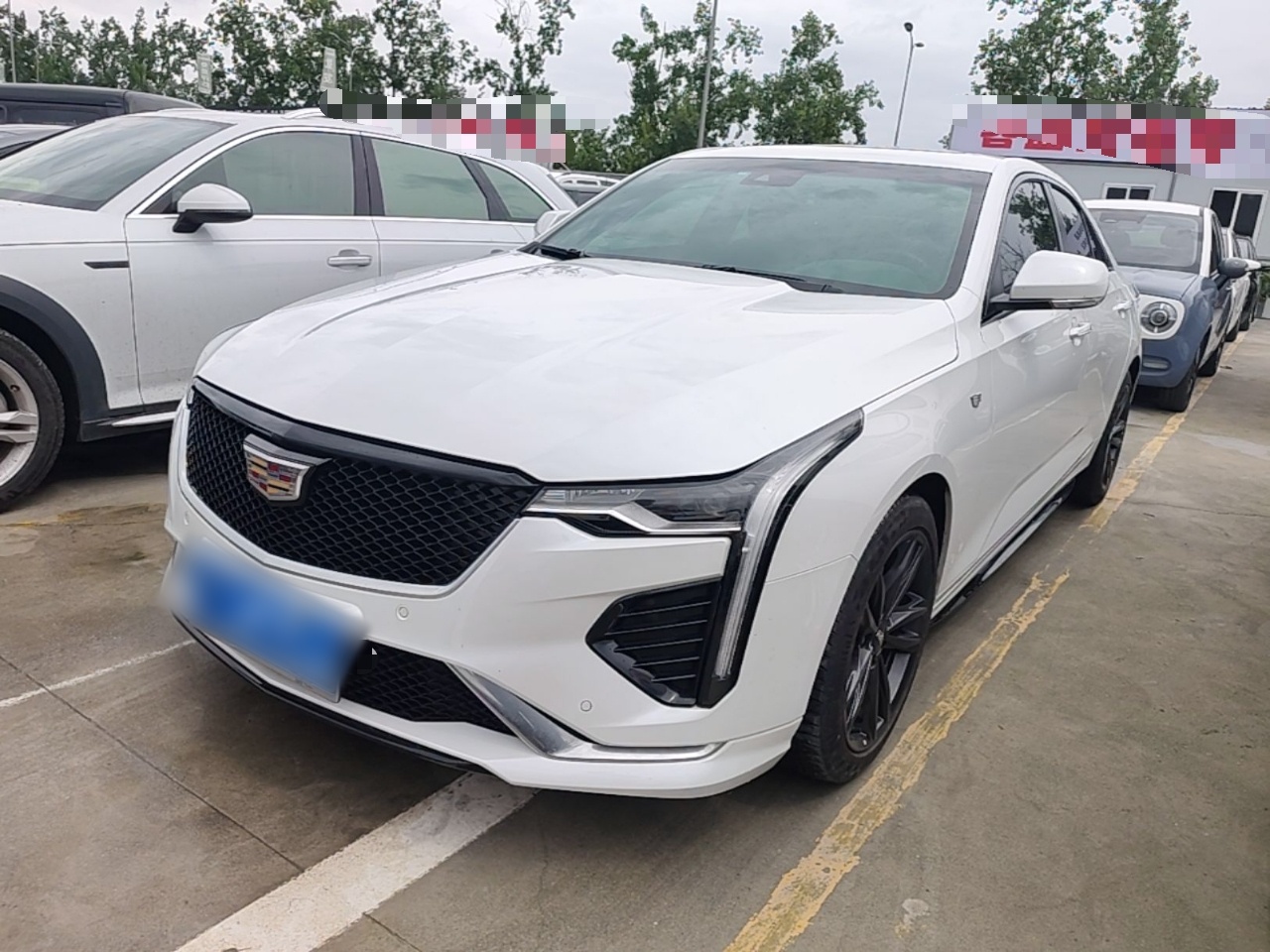 Under Front Bumper