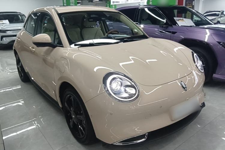 Used ORA Good Cat 2024 501 km Luxury Version