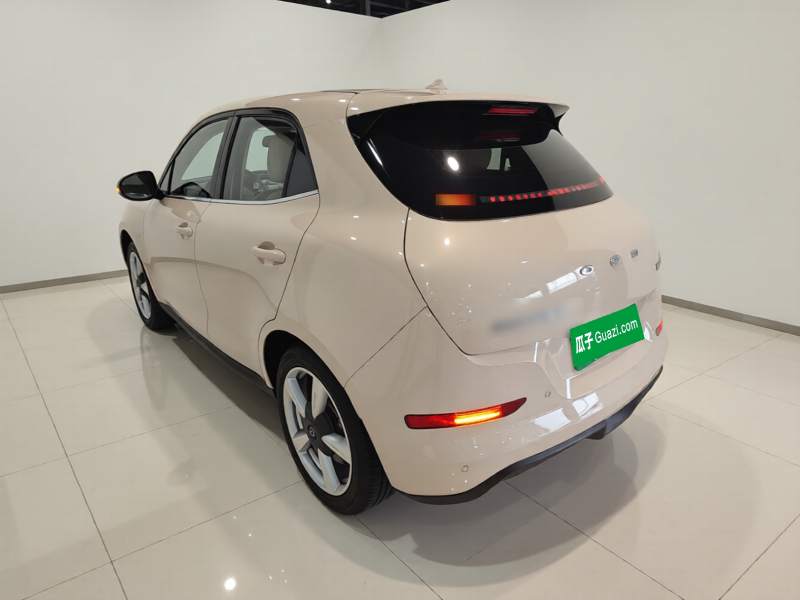 Used ORA Good Cat 2022 Morandi Edition 400km Standard Range Two-Week Young Enjoyment Version Lithium Iron Phosphate — 4