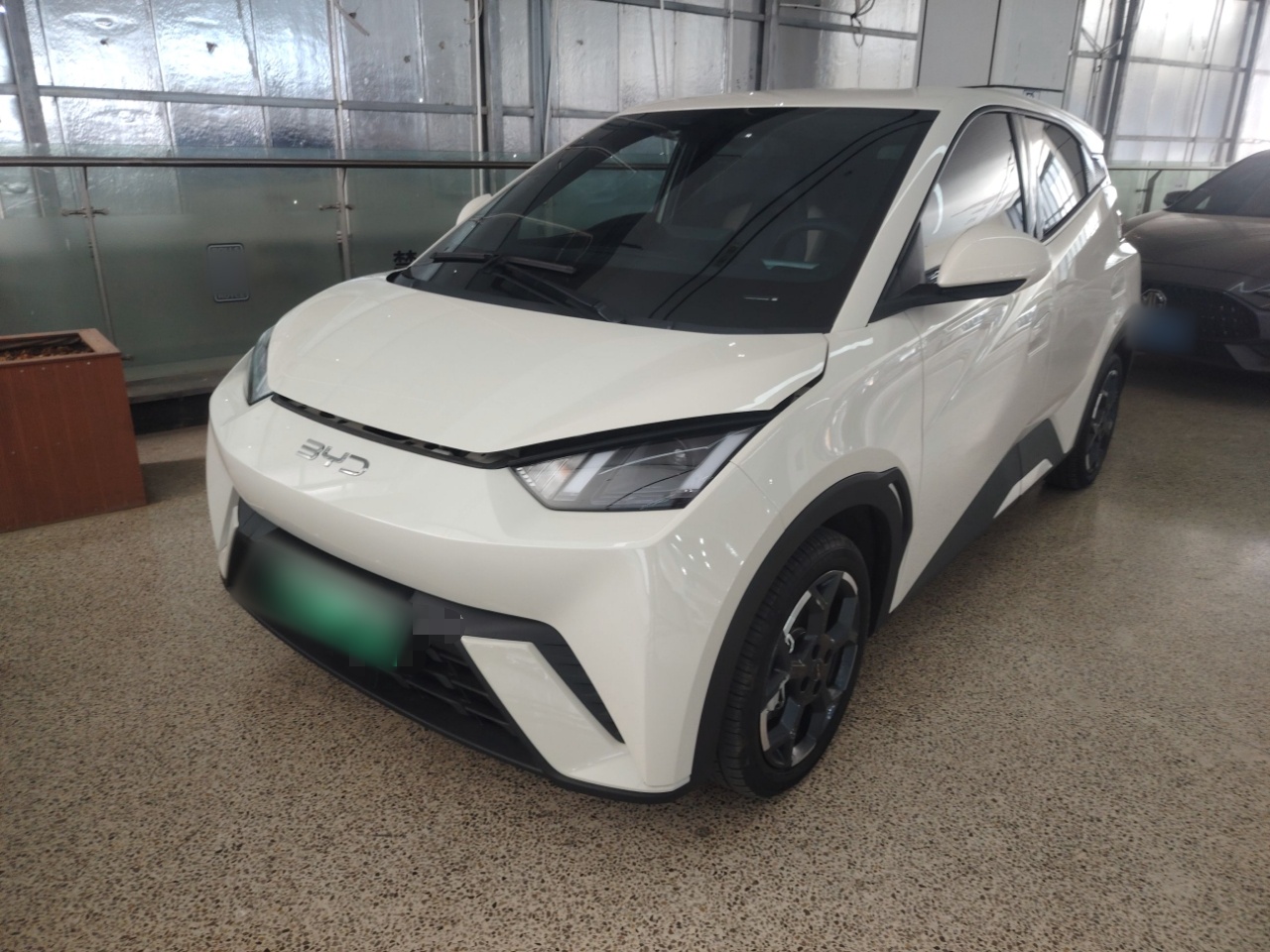 Parte inferior delantera