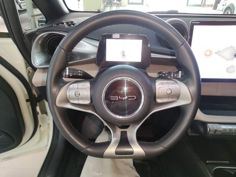 Used BYD Dolphin 2021 405 km Fashion Edition — 10