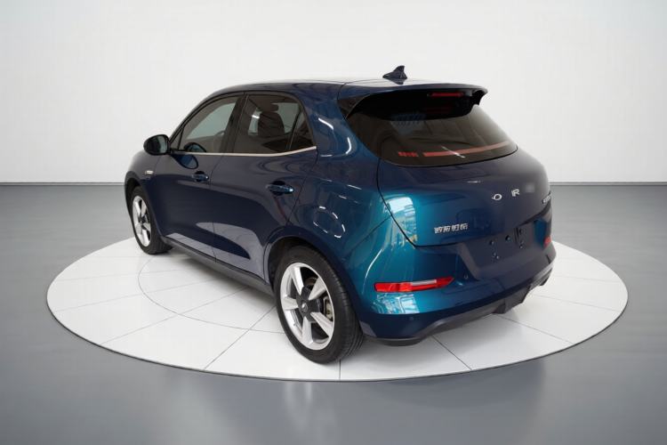 Used ORA Good Cat 2023 401 km Standard Range Luxury Version Lithium Iron Phosphate
