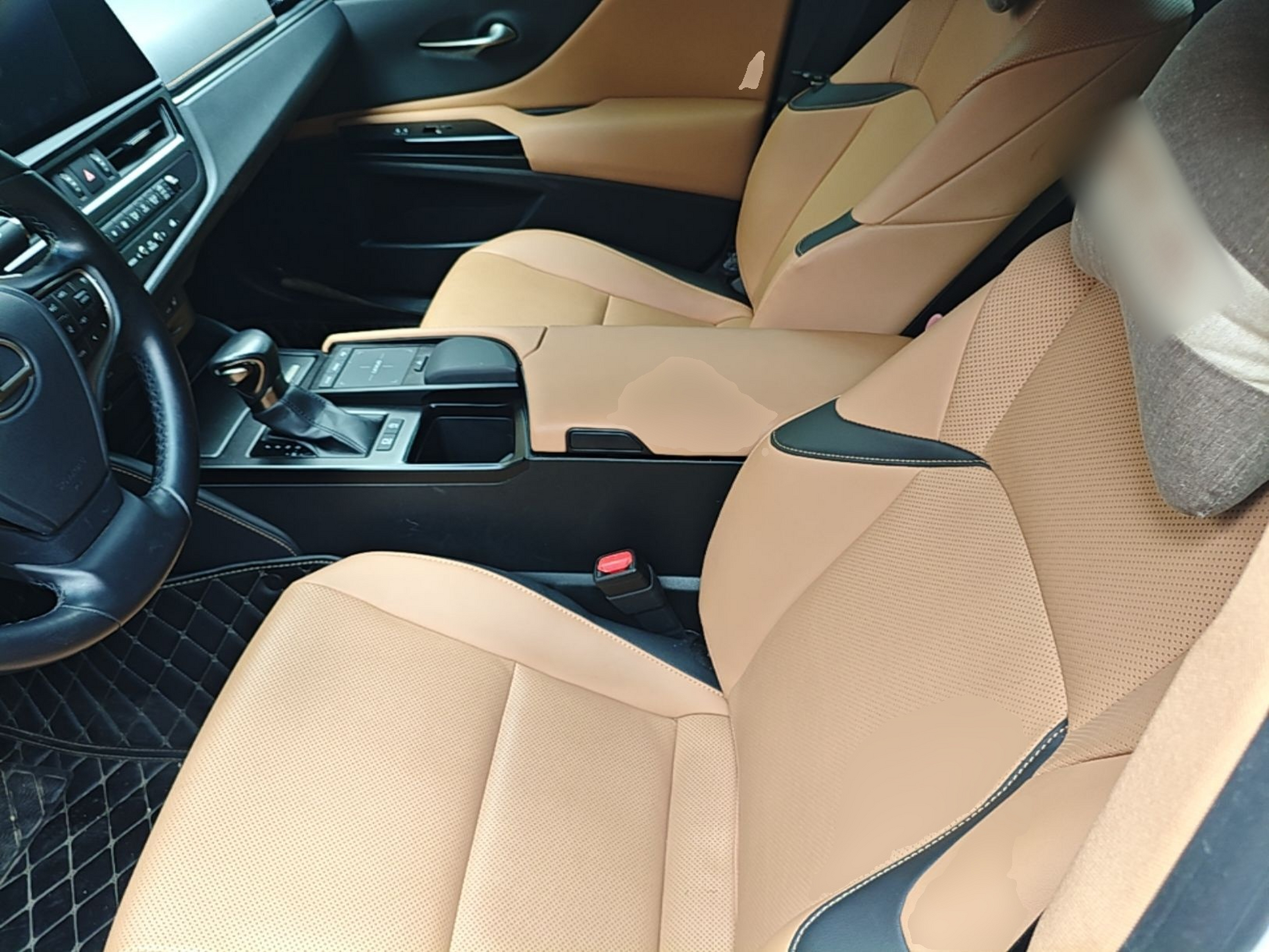 Interior delantero
