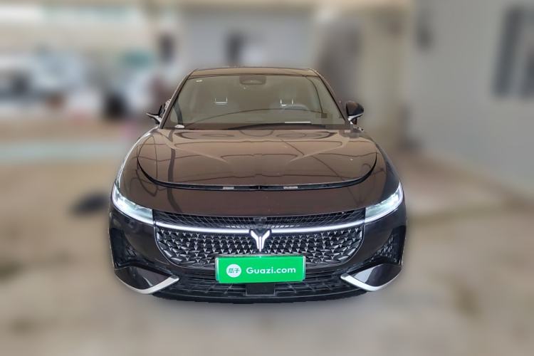 Used VOYAH PASSION 2024 PHEV Four-Wheel Drive Ultra-Long Range Flagship Model Front