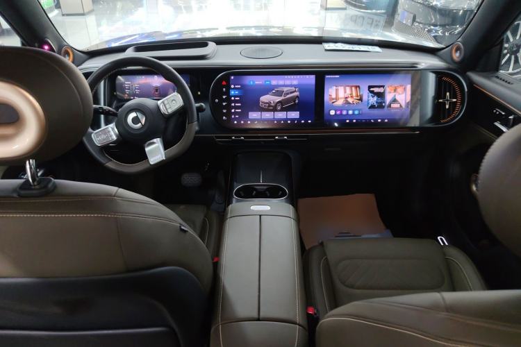 Used smart #5 2024 Jungle Realm Limited Edition