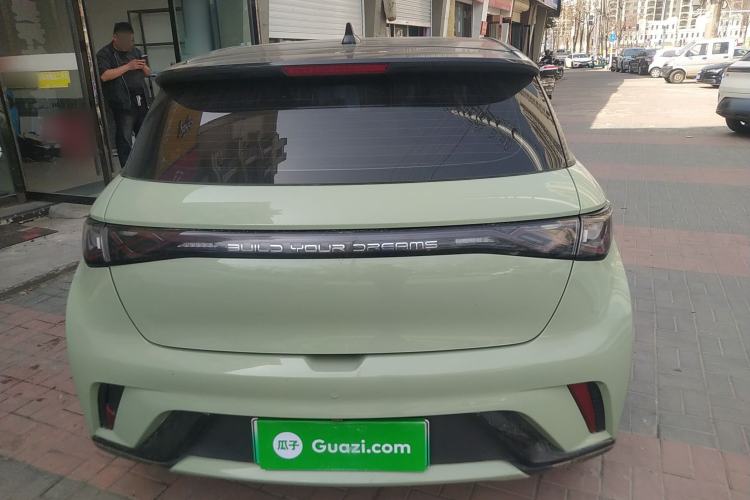 Used BYD Dolphin 2021 405 km Free Version
