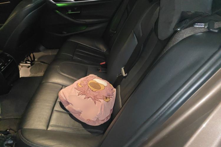 Used BMW 5 Series 2018 528Li Launch Special Edition Left Rear Seat