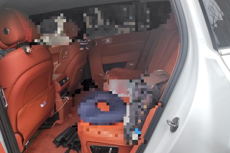 Used Li Auto L7 2023 Pro Model Left Rear Seat