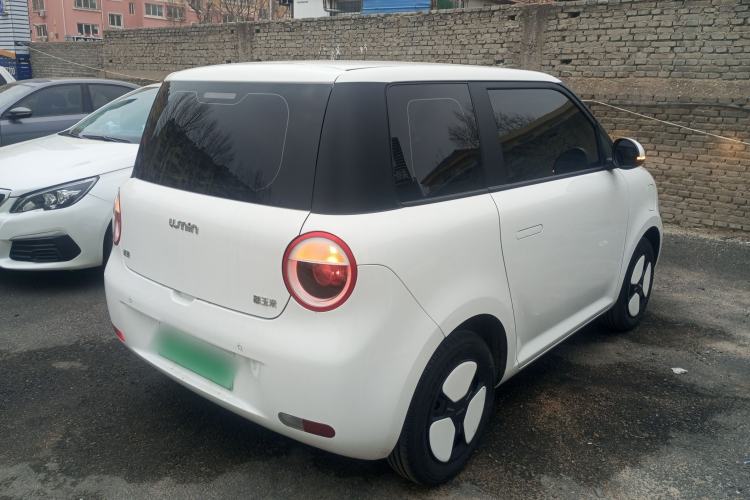 Used Qiyuan Lumin 2023 205km Xiangqin Version