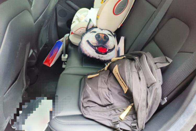 Used Tesla Model Y 2023 Rear-Wheel-Drive Version