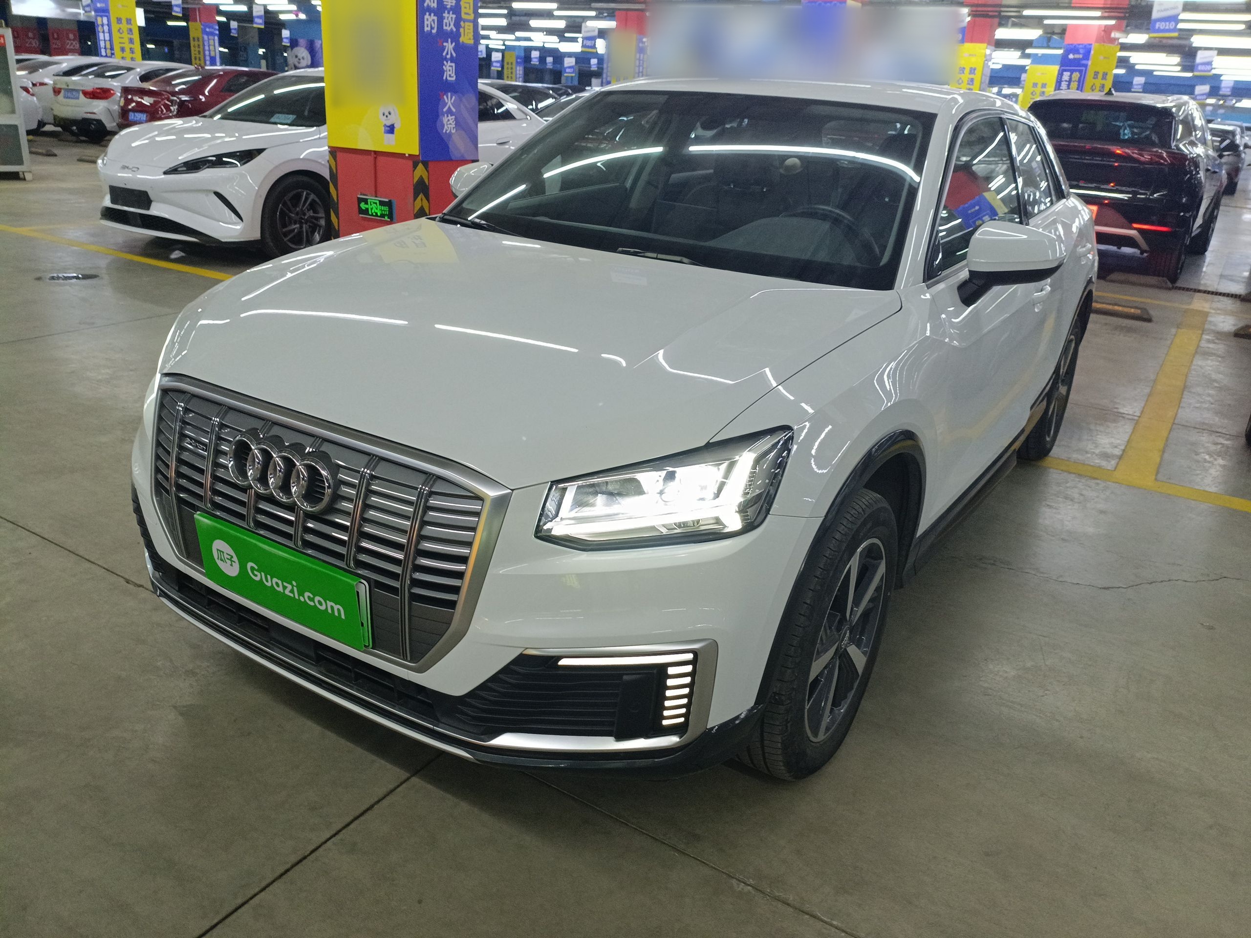 Parte inferior delantera