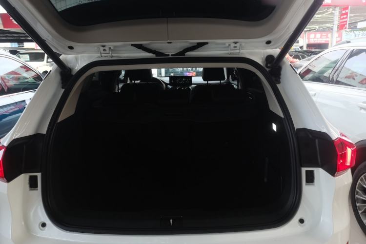 Used Wey VV6 2021 2.0T Two-Wheel Drive Smart Plus

