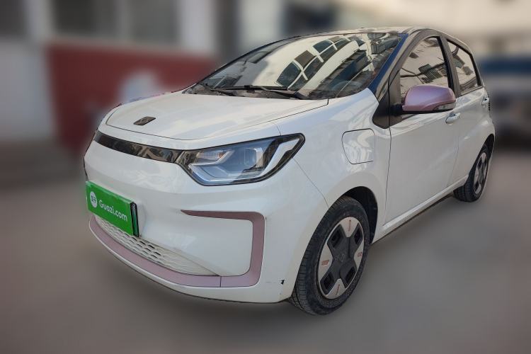 Used SOL E10X 2022 Flower Fairy Design Four-Leaf Clover