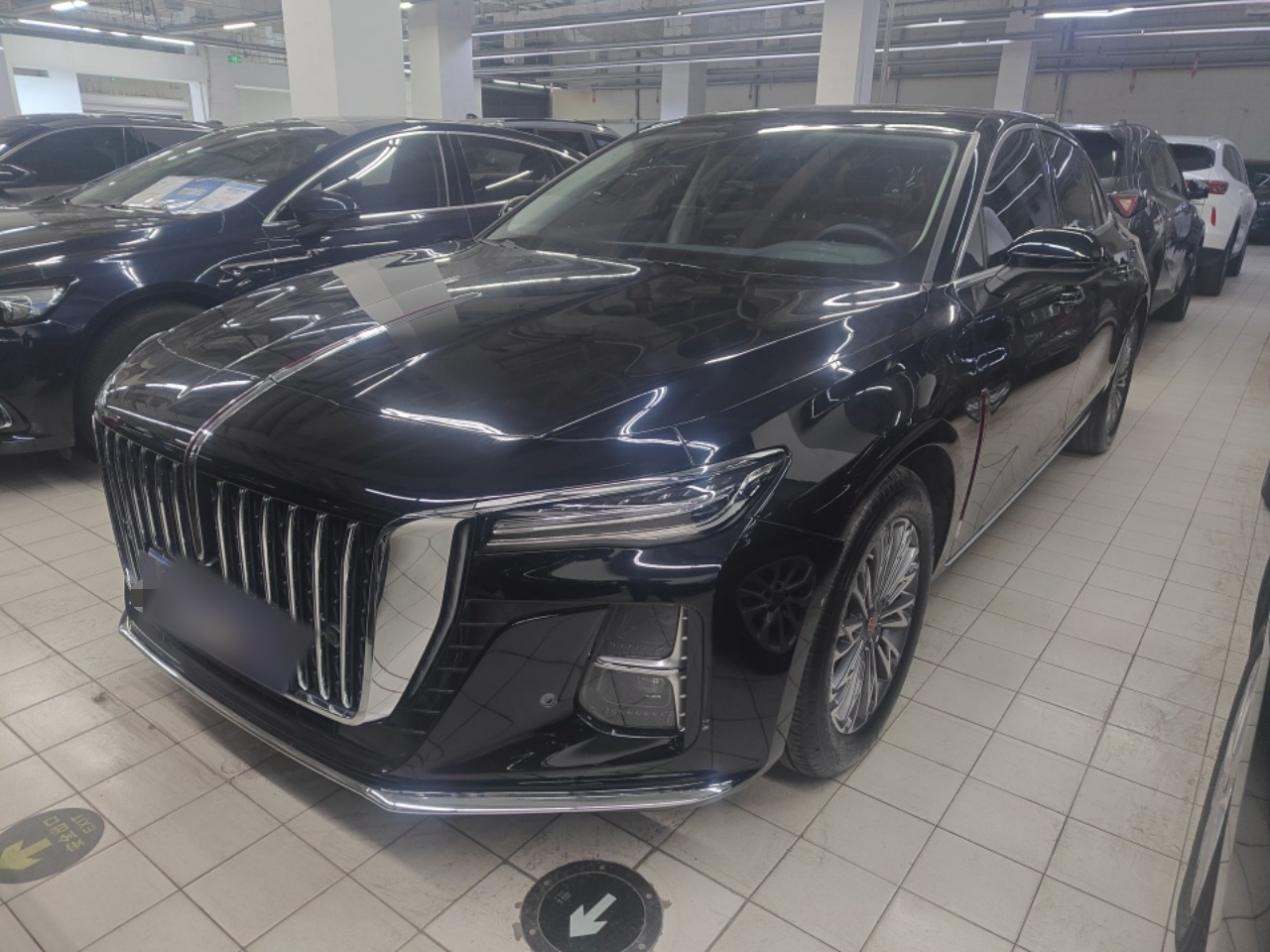 تحت مقدمة السيارة