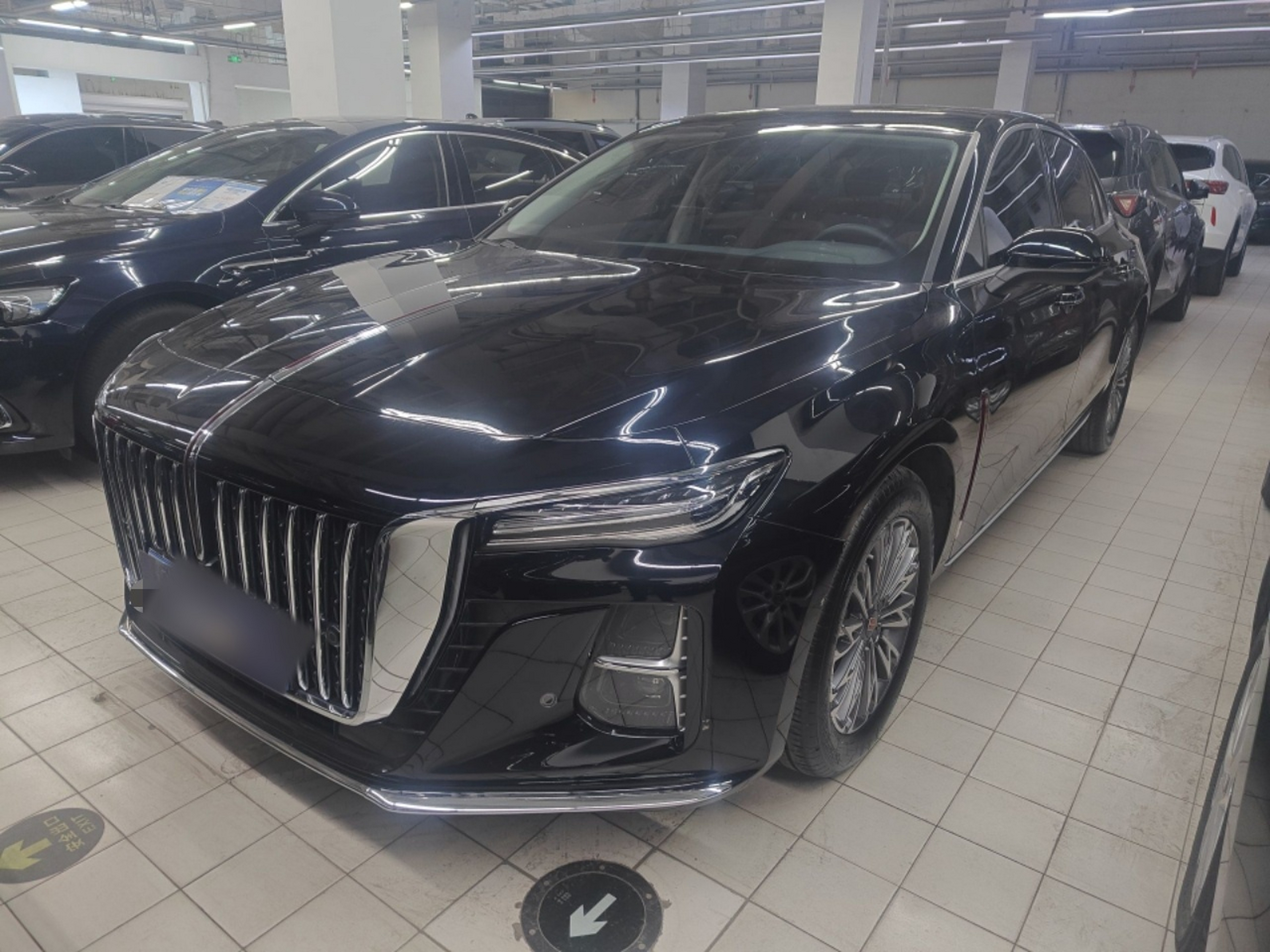 Parte inferior delantera