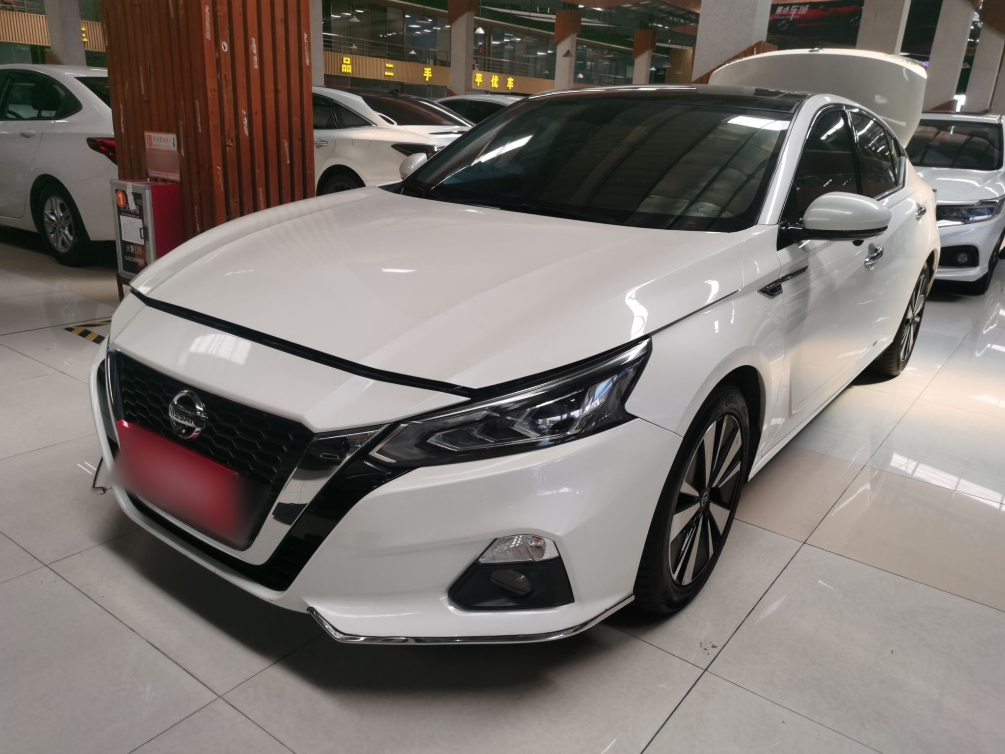 تحت مقدمة السيارة