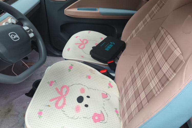 Used Chery QQ Ice Cream 2024 Edition Youth Version 205km Sundae